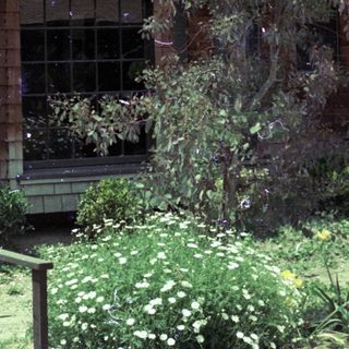 Rustic brick house with green roof.
