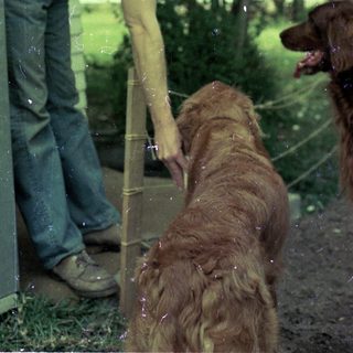 Man petting dog through glass door.