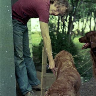 Man petting dog through glass door.