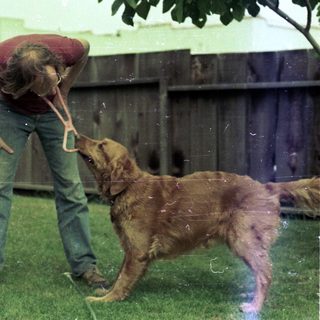 Person playing frisbee with wet dog outdoors.