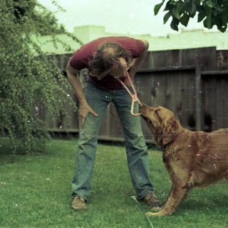 Person playing frisbee with wet dog outdoors.