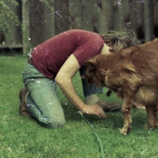 Person playing with wet dog using hose.