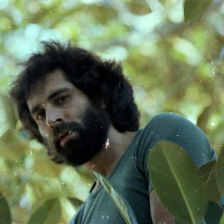 Man with beard standing outdoors among trees.