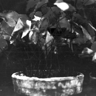 Broken glass fragments and a shattered bowl.