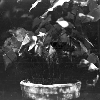 Broken glass fragments and a shattered bowl.