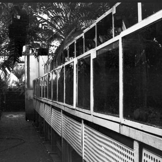 Covered train platform with greenery and ventilation grills.