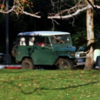 Two people sitting on grass park.