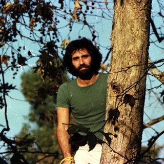 Man sitting on tree branch near water.