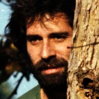 Man climbing tree in outdoor setting.