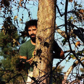 Man climbing tree in outdoor setting.