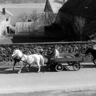 Rural scene with horse-drawn cart and person.