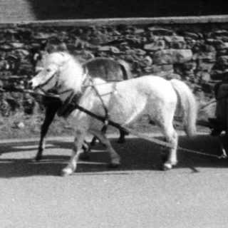 Rural scene with horse-drawn cart and person.