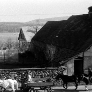 Rural scene with horse-drawn cart and person.