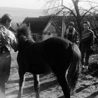 Rural scene with man leading horse, children observing.