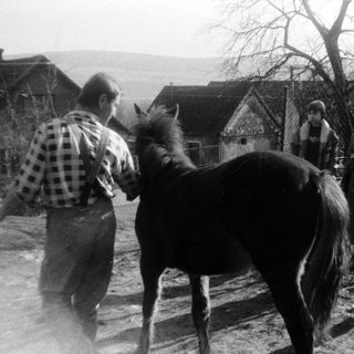 Rural scene with man leading horse, children observing.