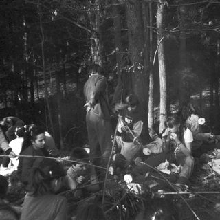 Campfire gathering of people in forest.