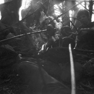 "Soldiers in camouflage during forest patrol."