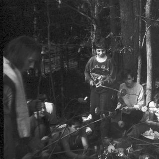 Group camping by fire in forest.