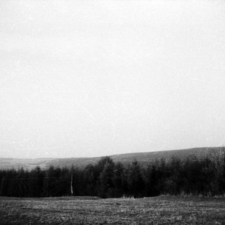 Rural landscape with open field and forested hills.