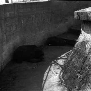 Dark, narrow concrete tunnel with water.