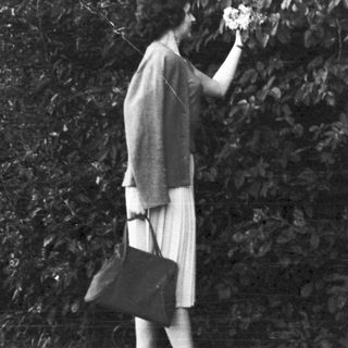 A person picking a flower outdoors.