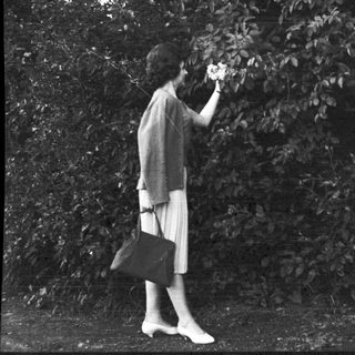 A person picking a flower outdoors.