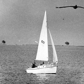 Sailboat on water with two birds flying overhead.