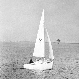 Sailboat on water with birds flying overhead.