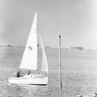Small sailboat numbered 601 on calm water.