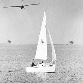 Sailboat on water with two birds flying above.
