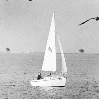 Sailboat on calm water with birds flying.