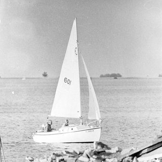 Small sailboat numbered 601 near rocky shore.