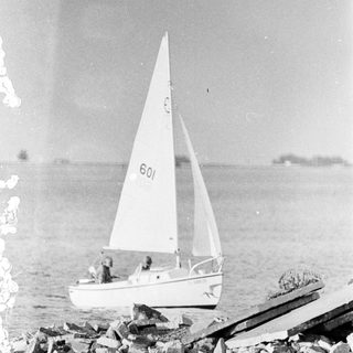Sailboat numbered 601 near rocky shoreline.