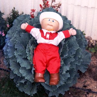 Plush doll dressed as astronaut in cabbage.