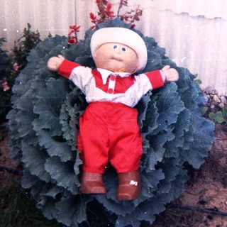 Plush toy seated inside large cabbage sculpture.