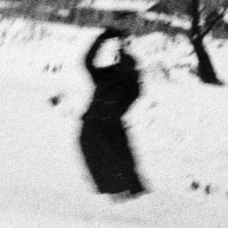 Here's a brief summary of the image: People walking and gesturing in a snowy, wintry landscape.