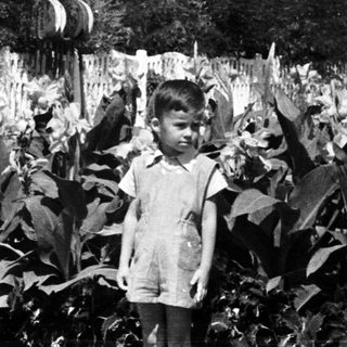 Here's a brief summary of the image: Young boy stands near foliage, with a house in background.