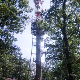 Tall communication tower rises among trees and foliage.