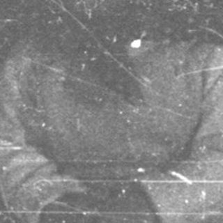 Film strip with a blurred figure sitting within it.