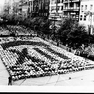Here's a brief summary of the image: Large crowd arranged in a pattern, likely for display.