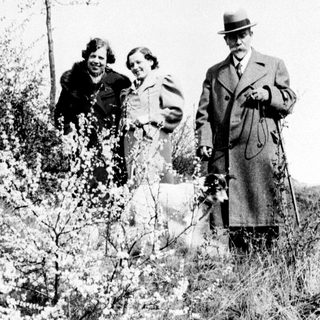 People stand on a hillside with flowering shrubs.
