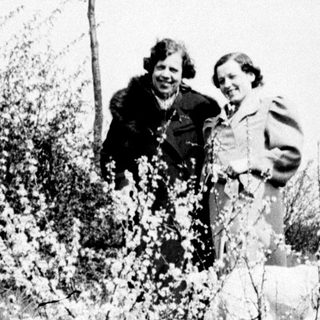People stand on a hillside with flowering shrubs.