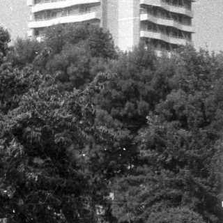 Man and boy stand near tiered garden in front of building.