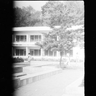Black and white photo depicts a building and landscaping.