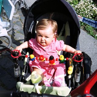 Baby sits in stroller, playing with a toy.