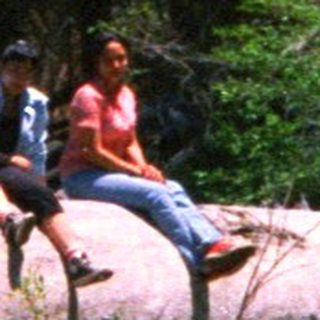 People sit on a log spanning a river in woods.