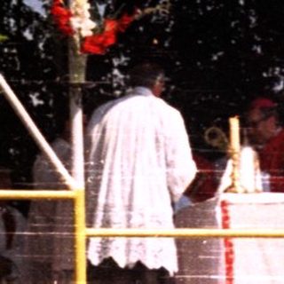 Outdoor religious ceremony with a tree and power lines.