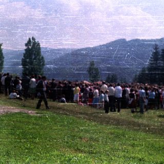 Crowd of people gathered in a grassy area with trees.