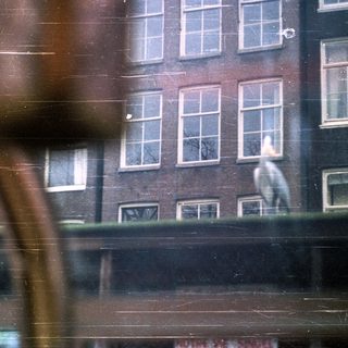 Person standing in a window of a brick building.