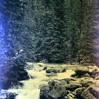 A river flows through a forest landscape with tall trees.